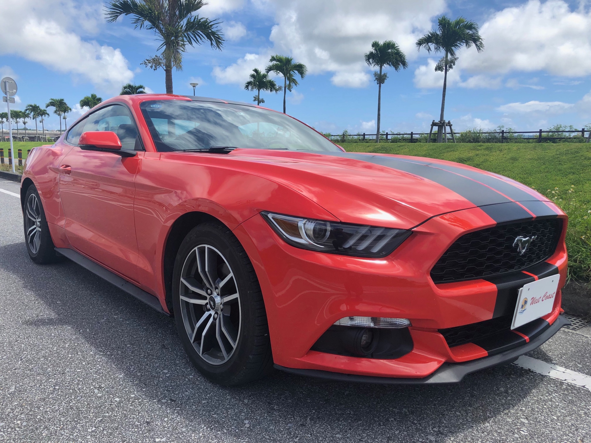 Rental Cars in OKINAWA ( WEST COAST ) 【 Luxuary Rental Cars Shop